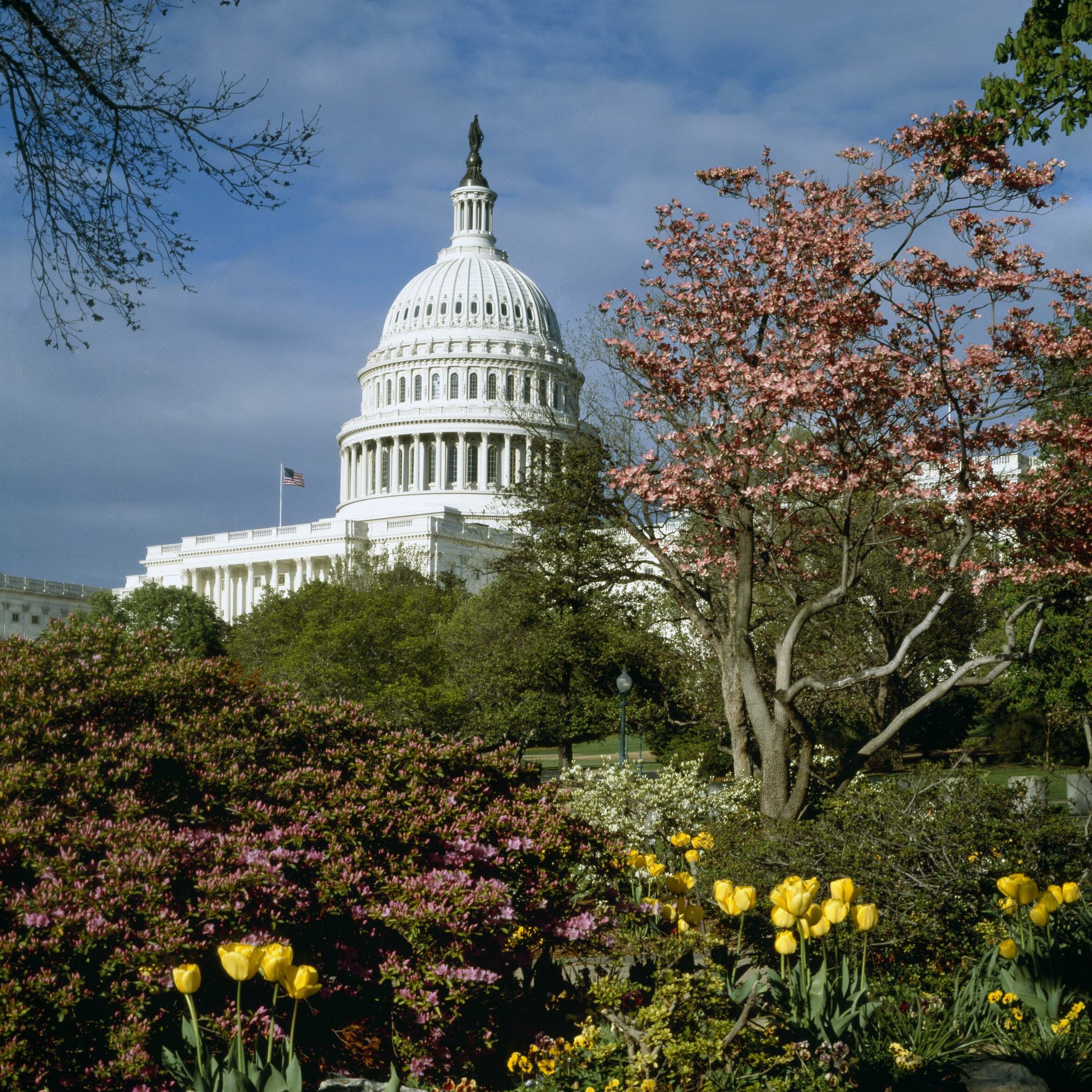 Photo of the U.S. Capitol in Spring